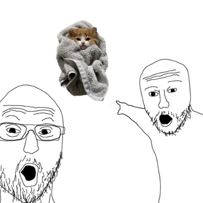 Meme 10