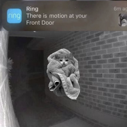 Meme 11