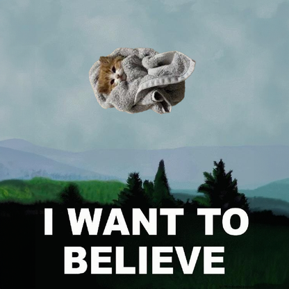 Meme 16